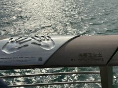 -星光大道
