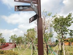 -王借岗森林公园