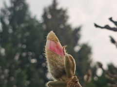 -月坛公园