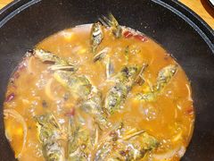 黄辣丁鲜鱼锅-小小河边鱼(天润城店)