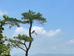 -莫干山风景区