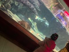 -太平洋海底世界