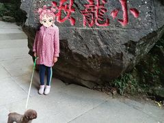 景点-雁荡山风景名胜区-小龙湫
