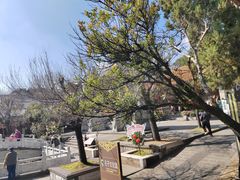 -大理文庙(大理古城)