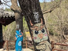 -佛慧山