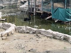 -宣武艺园