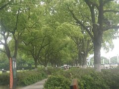 -金鸡湖景区