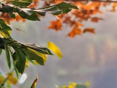 -广州市白云山风景名胜区