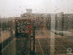 -东北师范大学(净月大街校区)