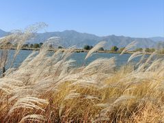 -野鸭湖国家湿地公园