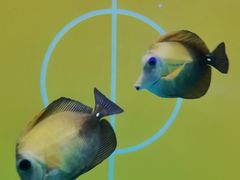 -海合安武汉极地海洋公园