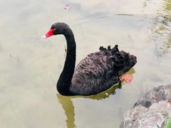 -上海怡沁园度假酒店