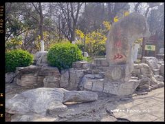 -千佛山风景名胜区