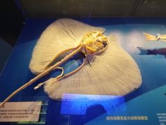 -深海中餐厅(国家海洋博物馆店)