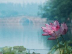 景观位-杭州香格里拉·香宫中餐厅