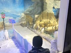 -成都浩海立方海洋公园