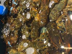 -龙宴海鲜城(经中路店)