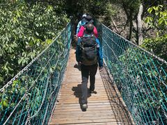 -祁门牯牛降观音堂风景区