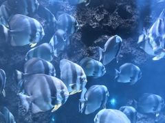 -南昌融创海世界