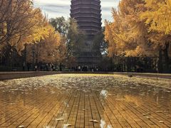 -玲珑塔公园
