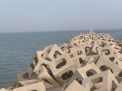 -东疆建设开发纪念公园