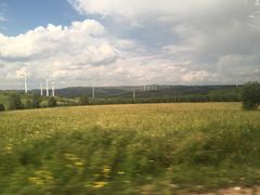 -塞罕坝国家级自然保护区