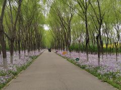 -东郊湿地公园