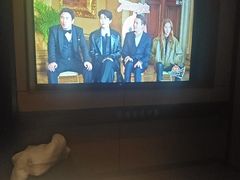 -蓉府金足印象(清江西路店)