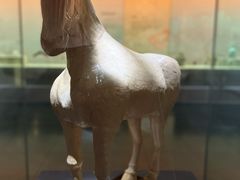 -衢州市博物馆