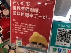 -有猫主题·治愈系猫咖(曾厝垵店)