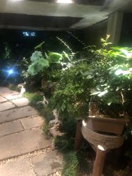 -罗亚帝·NASHOW纳秀形象设计