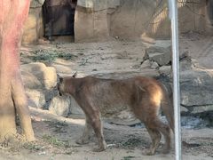 -石家庄市动物园