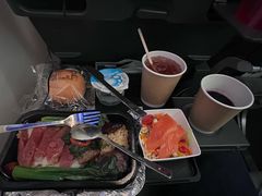 -新加坡航空公司(ION)