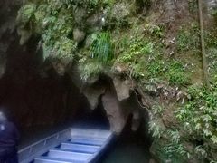 -怀托摩萤火虫洞