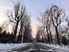 -哈尔滨文化公园