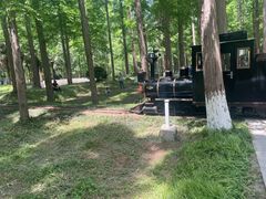 -黄海国家森林公园