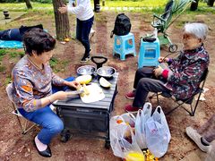 -铁山坪森林公园