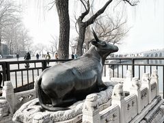-颐和园
