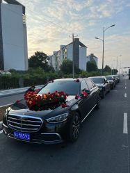 -蚂蚁婚车