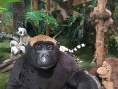 -济州岛泰迪熊博物馆