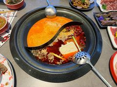 -生活如沸·顺德水牛奶火锅(大学路店)