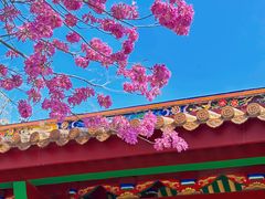 -天竺岩寺