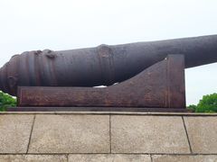 -上海吴淞炮台湾国家湿地公园