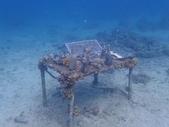 -上海潜殿潜水中心