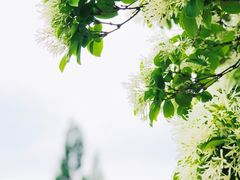 -国家植物园南园