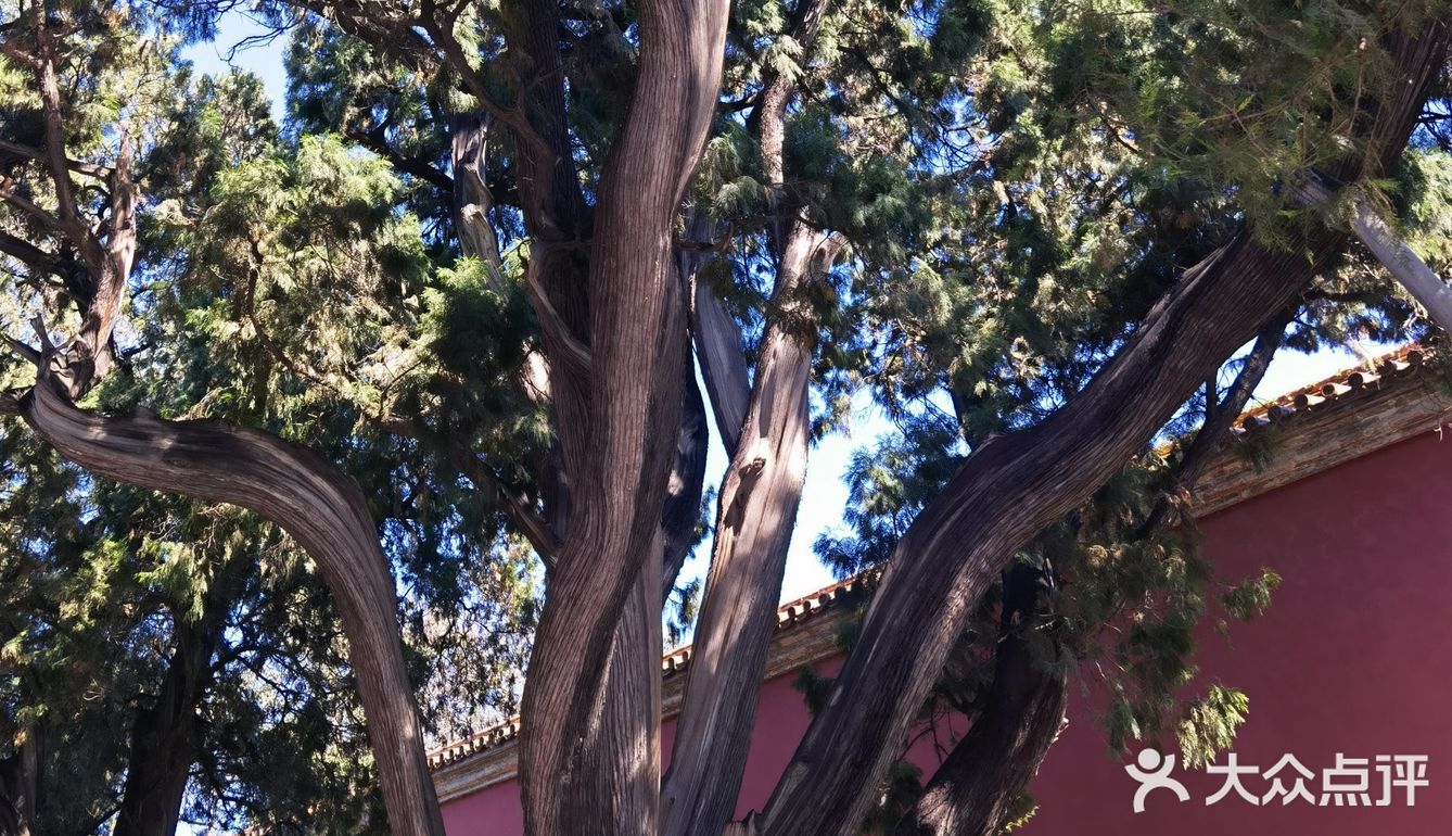 门票2元，提前一天在网上预约