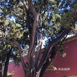 门票2元，提前一天在网上预约