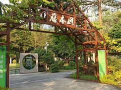-广州珠江公园