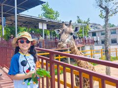 -西霞口神雕山野生动物世界