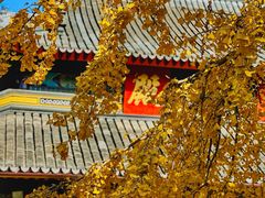 -西园寺素食(西园弄戒幢律寺店)